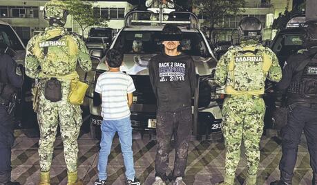 Analizan ley para combatir uso de “pollitos de colores” por el narco