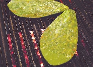 ¿Cuánto nopal comer al día para estar sanos?