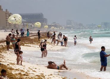 Se espera sargazo excesivo al norte de Quintana Roo