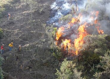 Emiten declaratoria de emergencia para 11 municipios de Oaxaca por incendios forestales