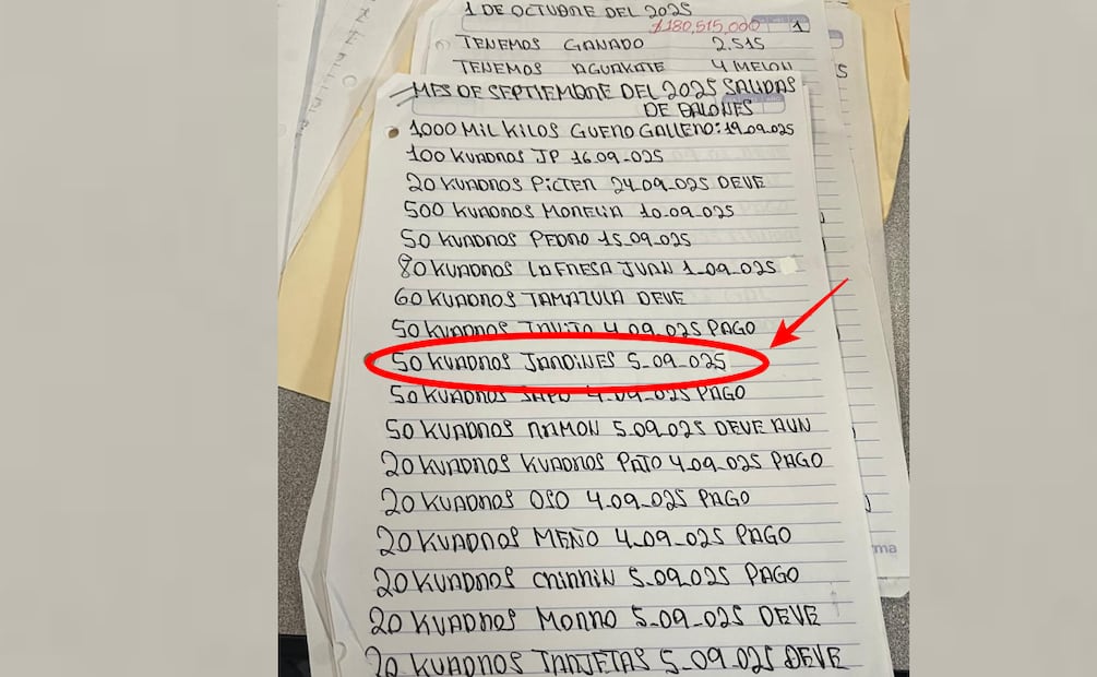 "El Jardinero" aparece en la lista de la narconómina de El Mencho (29/04/2026). Foto: Especial