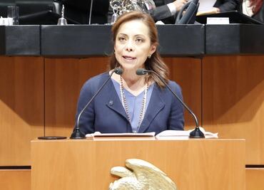 Disculpas a las fuerzas armadas, pide Senado a organizadores de toma de posesión de AMLO