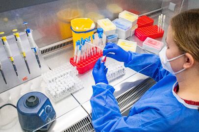 Quienes contrajeron la variante beta, "inmunizados" contra ómicron, esto dice un estudio