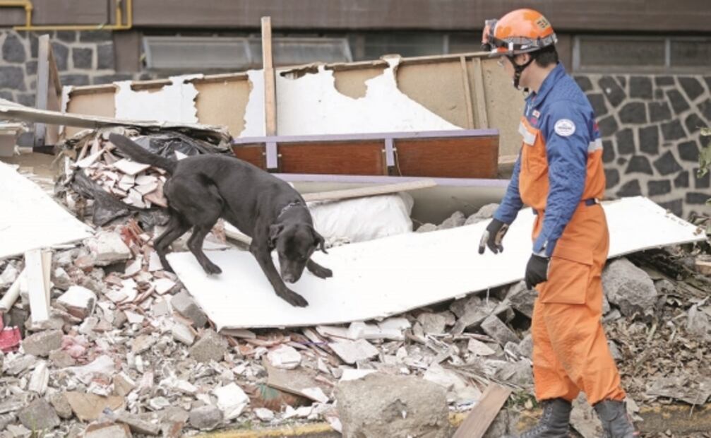 Los tres sismos que más impactaron a la Ciudad de México