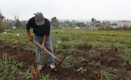 Aumenta hambre por cambio climático y afecta a 821 millones de personas