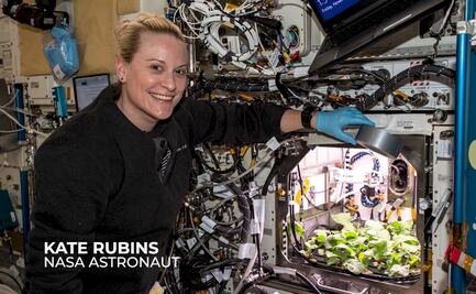 Video. Así cultivan rábanos en la Estación Espacial Internacional