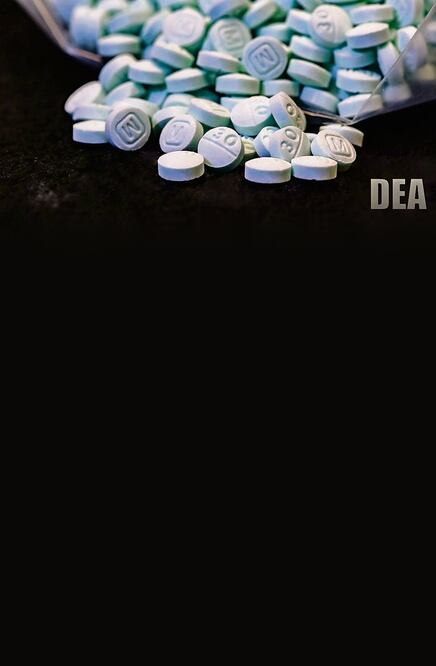 Se indica que a la estrategia le falta continuidad y hay poca información sobre resultados, pero es mejor que ir tras las cabecillas. Foto: Sedena