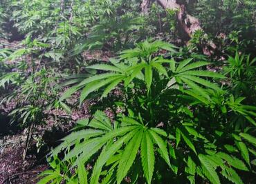 En 2017 aseguraron 234 mil litros de "huachicol" en Tamaulipas