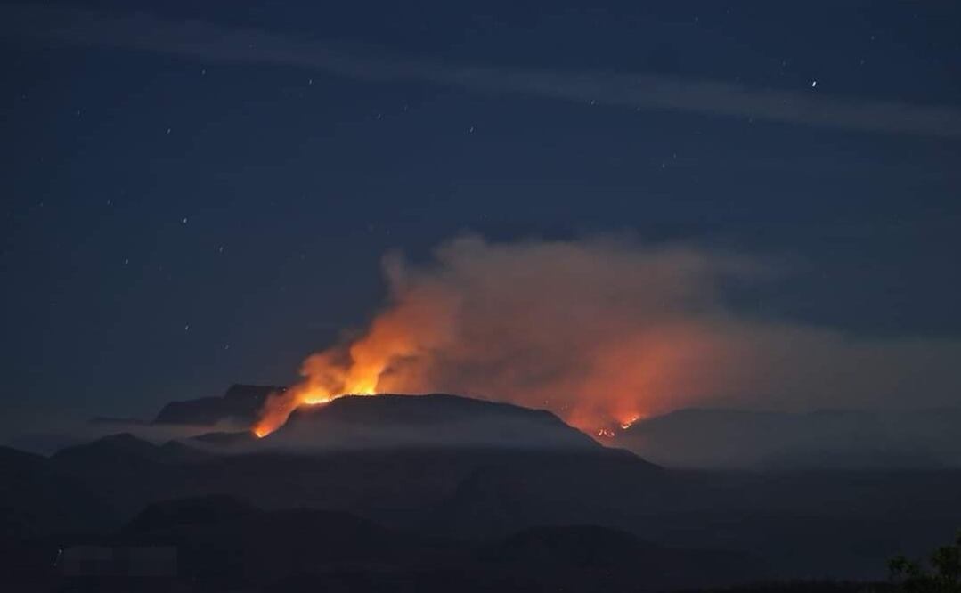 Foto: Redes sociales