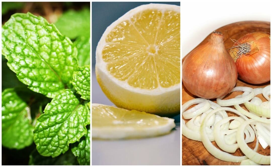 Foto: Instagram: Cortesía 