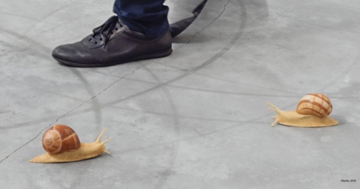 Exposiciones fuera de lo común para visitar este Día del niño