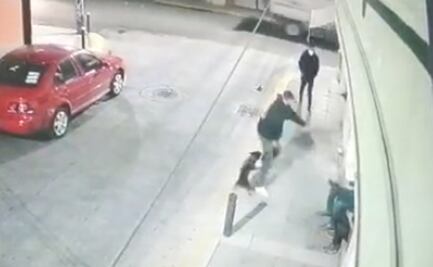 Captan en video robo con violencia de Bull Dog Francés a un niño en Irapuato 