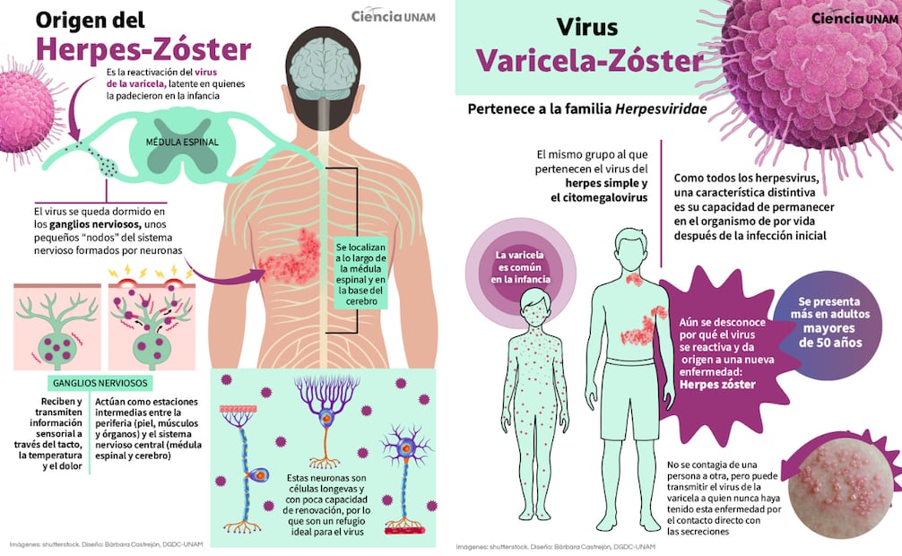 Foto: Captura de pantalla en UNAM