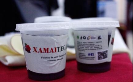 IPN students develop dessert suitable for diabetic patients