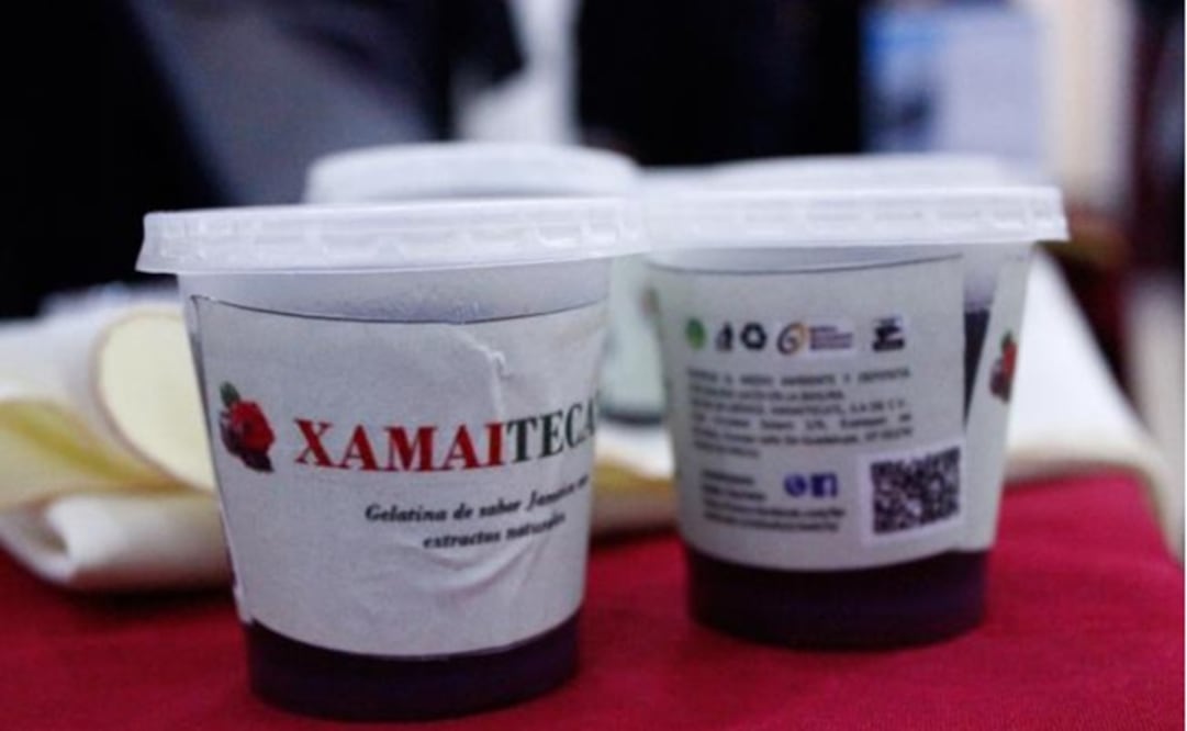 Photo: Courtesy of IPN