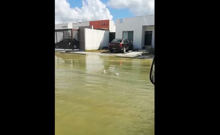 Tras paso de huracán en Mérida, brota agua de alcantarillas y deja inundaciones