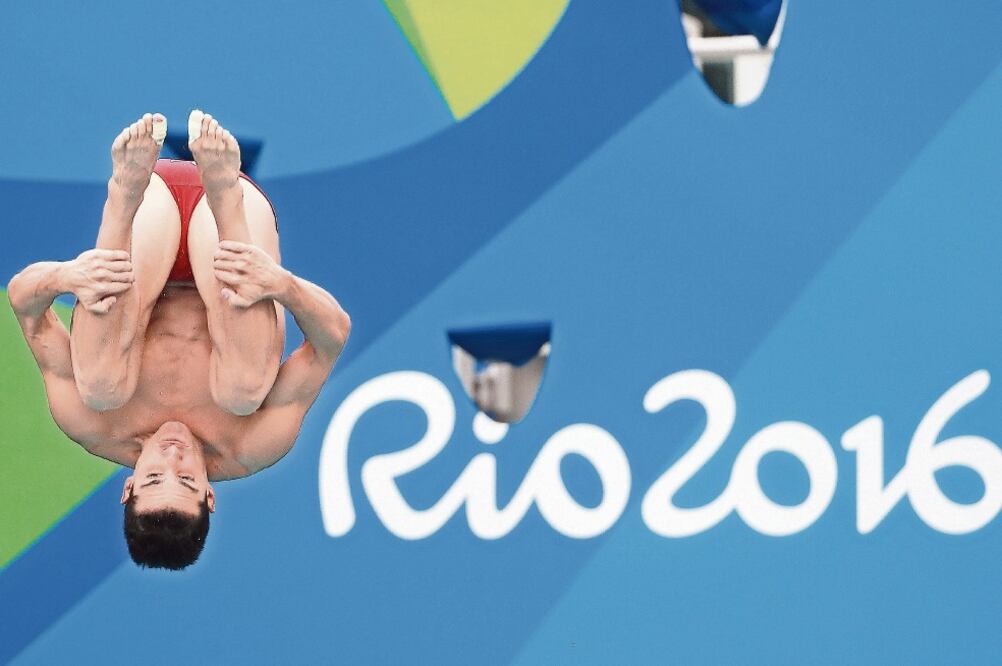 El COI, el ave fénix