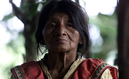 "Cada tres meses y medio desaparece una lengua"