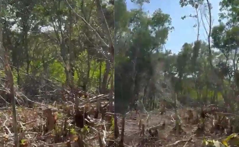 Vecinos denunciaron a Joaquín Galaz por su complicidad en la destrucción de manglares y relleno ilegal de terrenos. Fotos: Especiales.