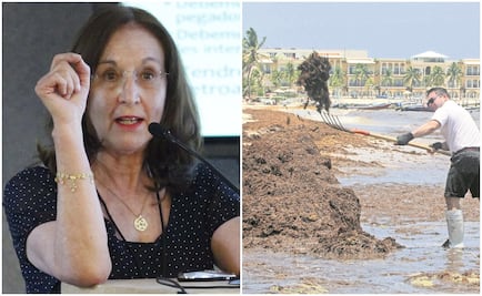 Tras críticas a PND, Fierro ejemplifica cómo la "ciencia puede resolver problemas"