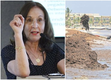 Tras críticas a PND, Fierro ejemplifica cómo la "ciencia puede resolver problemas"