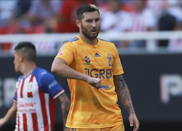 Así fue la pelea entre Gignac y Tomás Boy