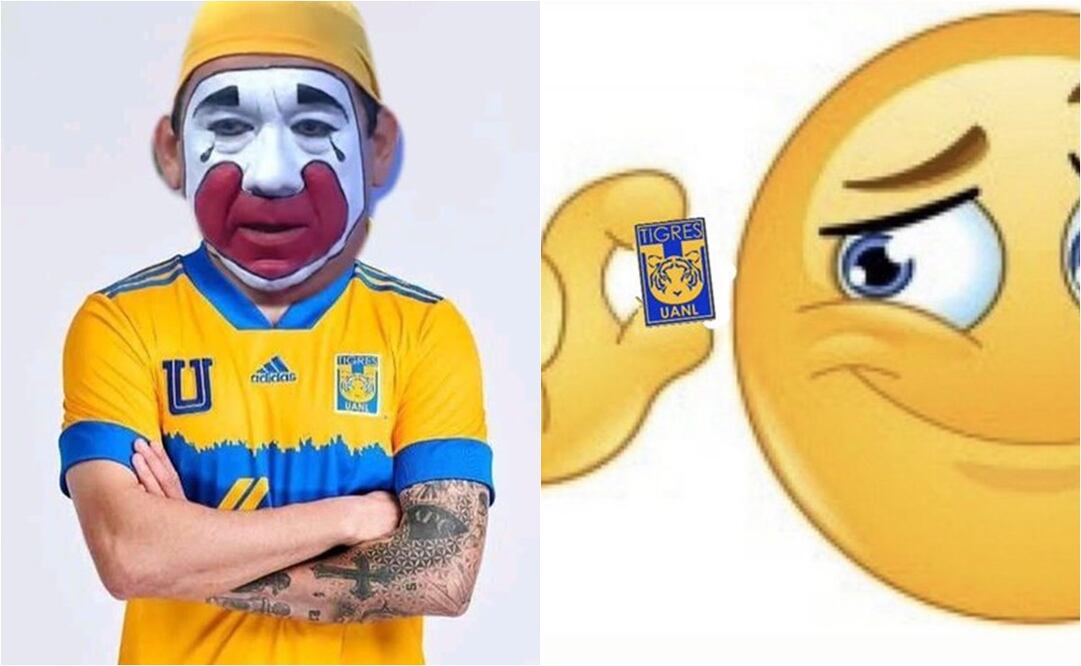 MEMES TIGRES
