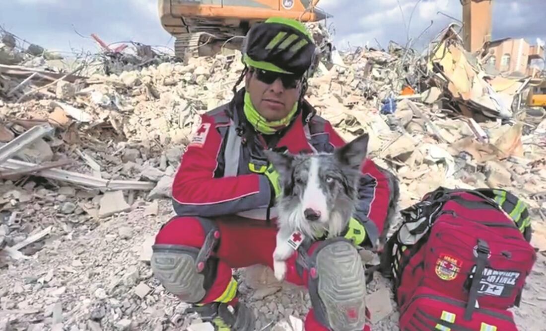 Balam, el perro rescatista. Foto: Especial