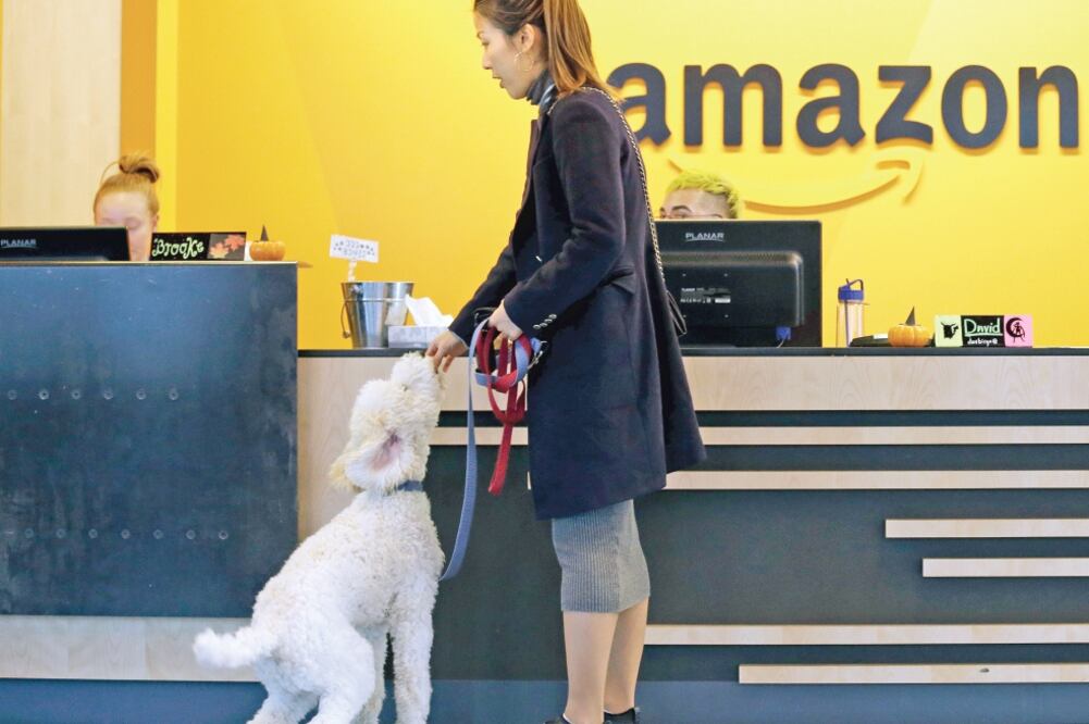 Apertura. De acuerdo con el estudio, 81% de las aseguradoras cree que Amazon sería la principal fuente de competencia (ARCHIVO EL UNIVERSAL)