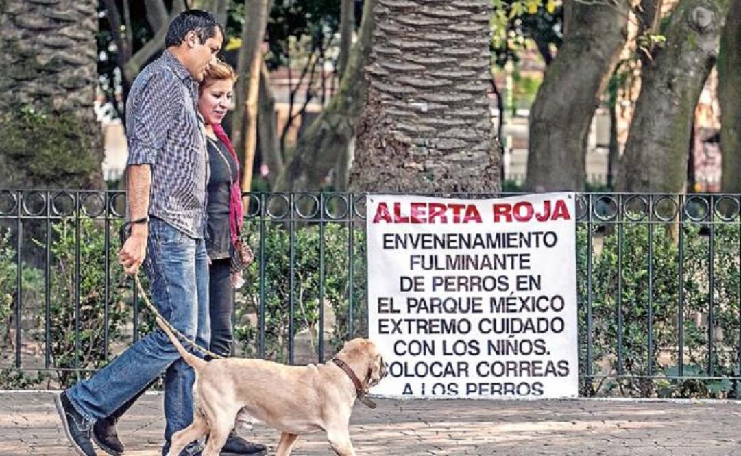 The dogs died two hours after eating the poison on their way to México and España parks. (Photo: Archive/El Universal)    