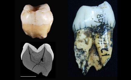 Humanos modernos llegaron a Sumatra hace más de 60 mil años