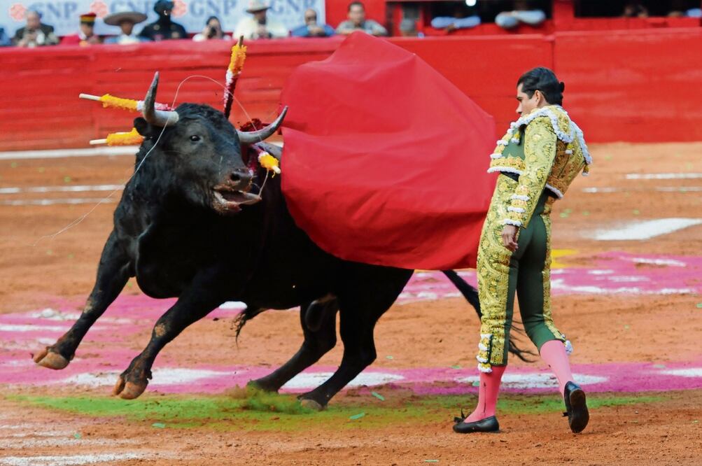 Toreros se pronunciaron contra la aprobación de las Corridas de Toros sin violencia: "Nos quitan nuestra identidad como mexicanos” / CUARTOOSCURO