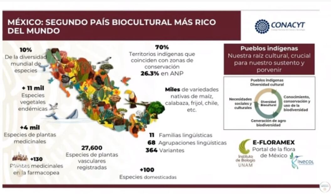 La mañanera de AMLO, 6 de septiembre, minuto a minuto