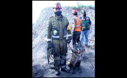 Binomios caninos se suman a rescate en mina Micarán en Coahuila