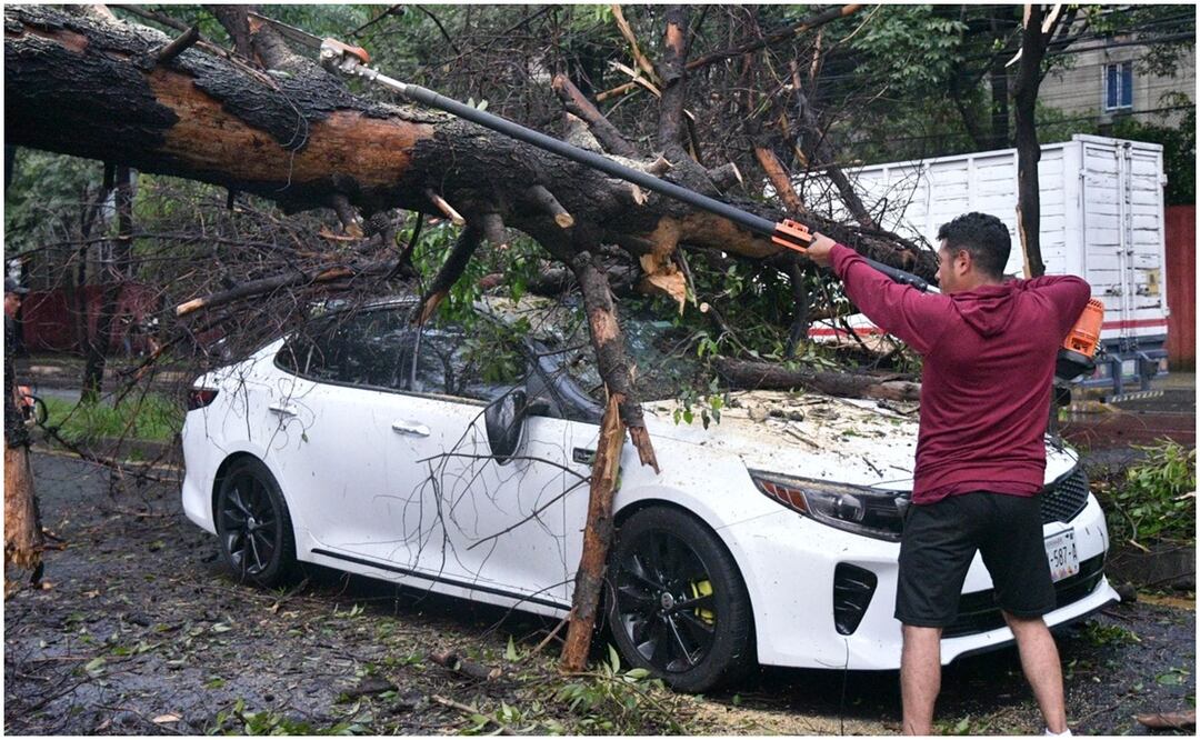 Caída de árboles e inundaciones ocasionadas por las lluvias en la CDMX. Foto: Especial