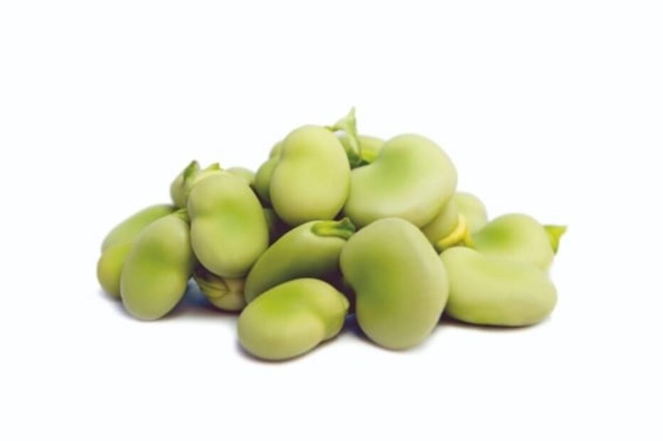 ¿Qué puedes comer Jueves y Viernes Santo?