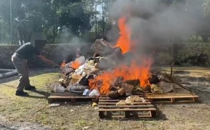 Incineran más de media tonelada de drogas en Quintana Roo