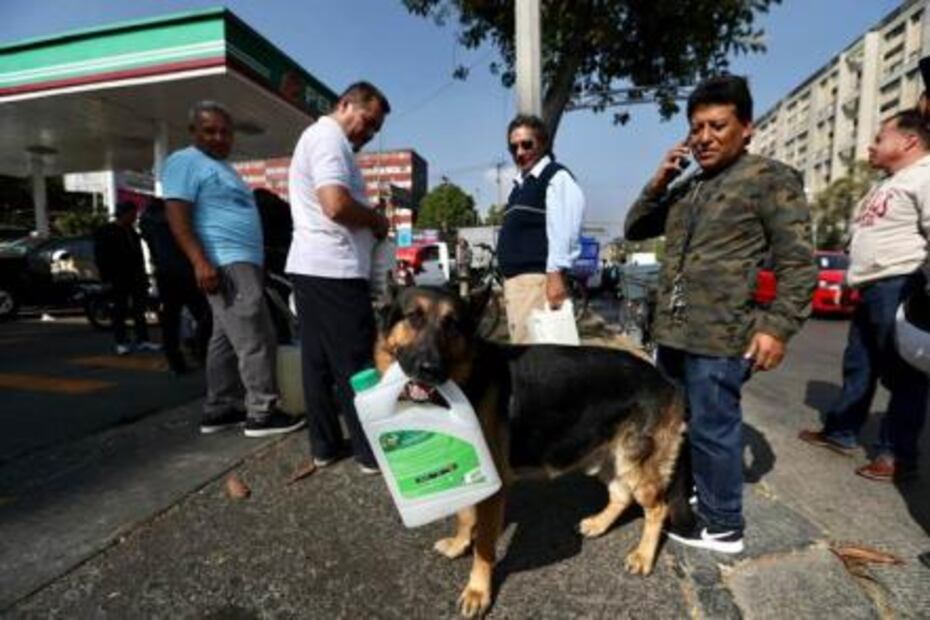 ¿Quién es culpable de la falta de gasolina?