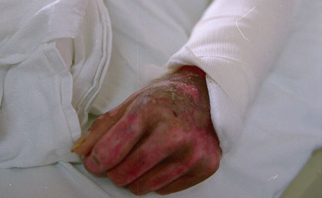 Foto: Archivo. EL UNIVERSAL