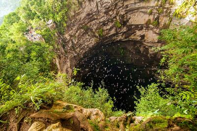 Sótano de las Golondrinas: desciende este abismo de la Huasteca