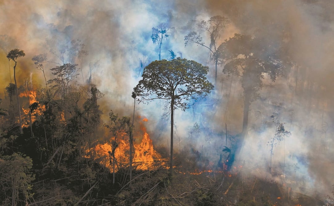 El humo se eleva de un fuego encendido ilegalmente en la reserva de la selva amazónica, al sur de Novo Progresso, estado de Pará, Brasil, en agosto de 2020. Foto: Carl de Souza. AFP