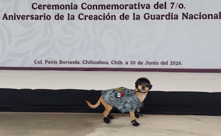 Guardia Nacional de Chihuahua adopta a "Comando"; el perrito usa uniforme, lentes y zapatos oficiales