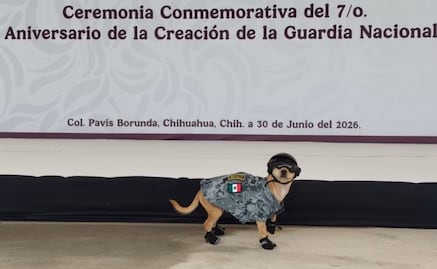 Guardia Nacional de Chihuahua adopta a "Comando"; el perrito usa uniforme, lentes y zapatos oficiales