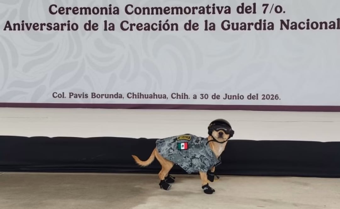 Guardia Nacional de Chihuahua adopta a "Comando"; el perrito usa uniforme, lentes y zapatos oficiales.
Foto: Especial.