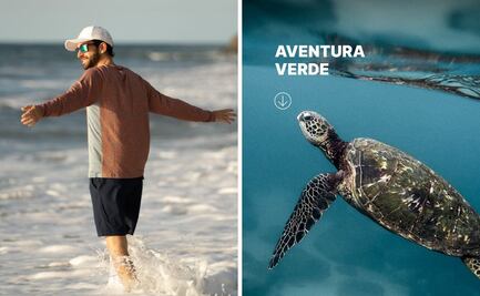 Conoce la iniciativa de esta marca mexicana para cuidar a las tortugas marinas