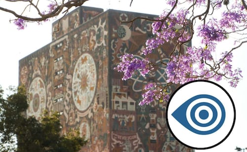 Territorium Life: ¿qué es y quién está detrás de la empresa que desarrolló los exámenes de admisión en línea de la UNAM?; esto se sabe