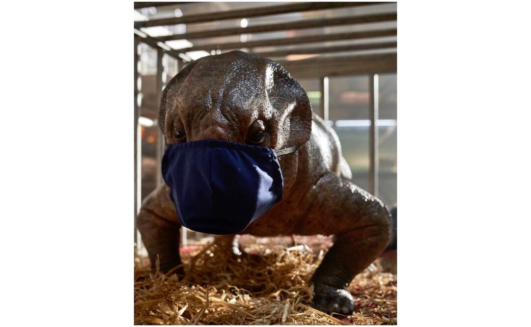 Foto: Twitter Colin Trevorrow