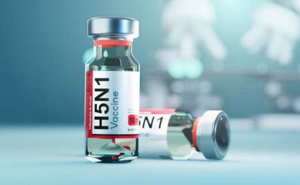 Confirman caso de gripe aviar en adolescente hospitalizado en Canadá; se desconocen causas de cómo contrajo la enfermedad