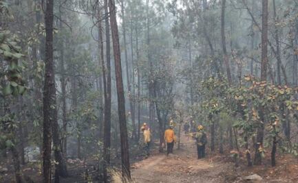 Brigadistas combaten más de 11 incendios forestales en Chihuahua; llamas afectan 7 mil 939 hectáreas