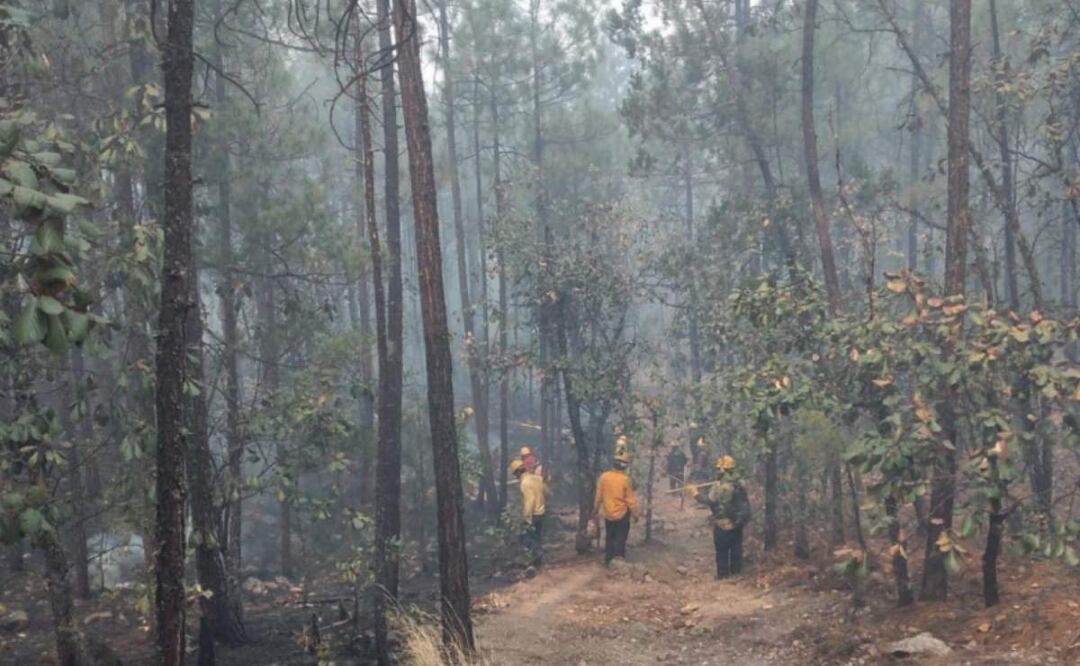 De acuerdo a las autoridades, hasta el momento hay más de 11 incendios forestales activos en Chihuahua (25/03/2025). Foto: Especial